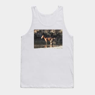 Wild Horses, Salt River, Arizona Tank Top